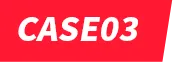 case3